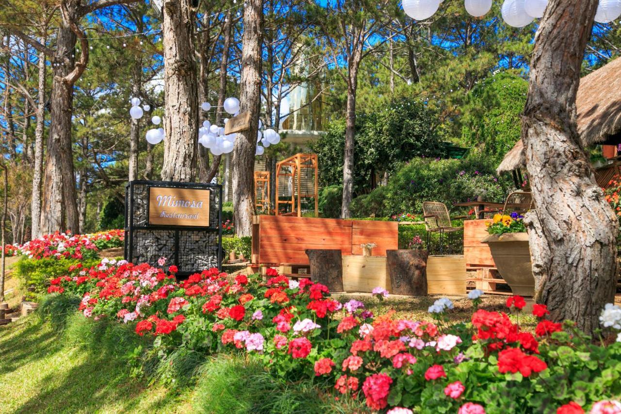 Ttc Dreamy Hill Resort - Unlimited Access To Ttc World - Thung Lung Tinh Yeu Далат Экстерьер фото